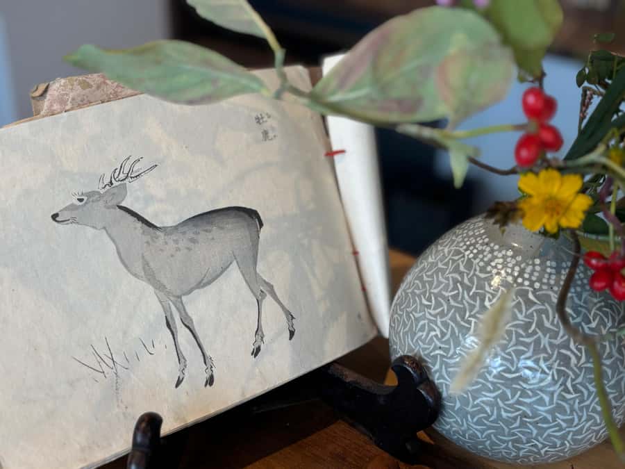 Kamakura: Mindfulness Tea Ceremony Experience - Why This Tour Is Perfect for You