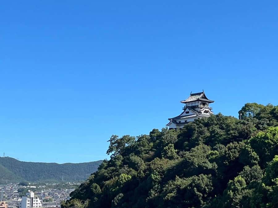 Nagoya: Inuyama Castle, Ena Gorge, Magome & Tsumago Tour - Key Points