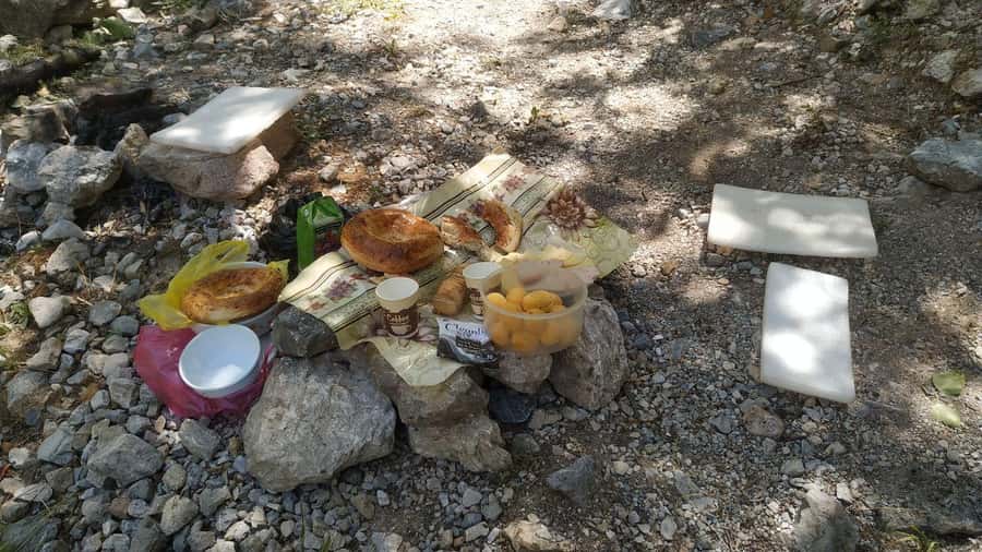 Tashkent: Tien Shan Mountains Guided Hike with Picnic - Learning About Mountain Life