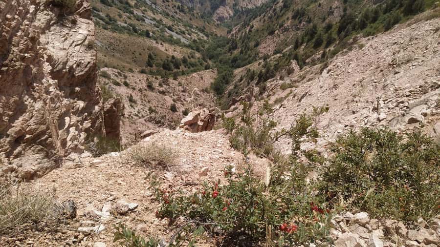 Tashkent: Tien Shan Mountains Guided Hike with Picnic - The Journey Begins: From Tashkent to the Tien Shan