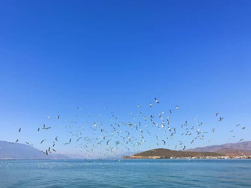 Dali: Chongsheng Temple, Xizhou, & Erhai Lake Tour - To sum it up