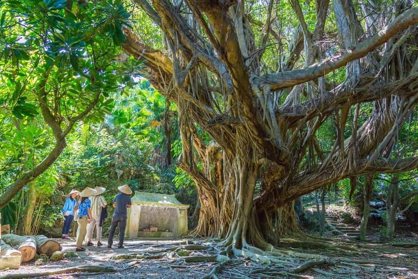 Okinawa: Henza and Hamahiga Islands Guided Bike Tour - Practical Details and What’s Included