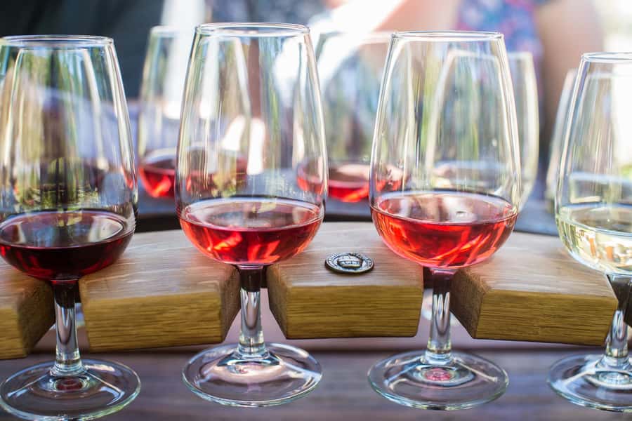 Wanaka: Full Day Classic Wine Tour with Lunch - The Vineyards: Discovering Boutique Gems