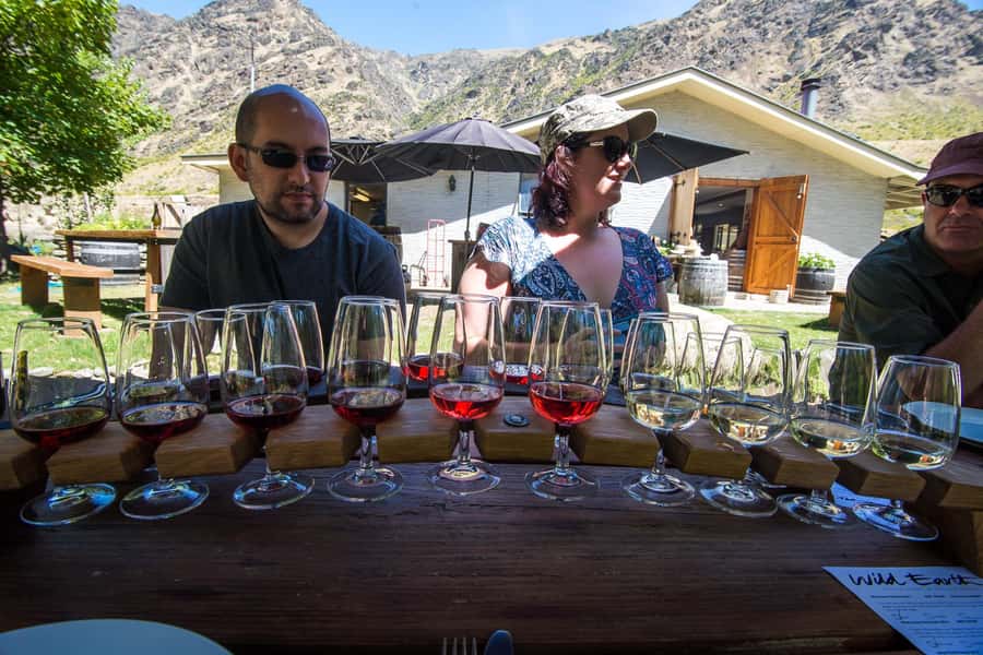 Wanaka: Full Day Classic Wine Tour with Lunch - The Logistics: Comfort, Timing, and Value