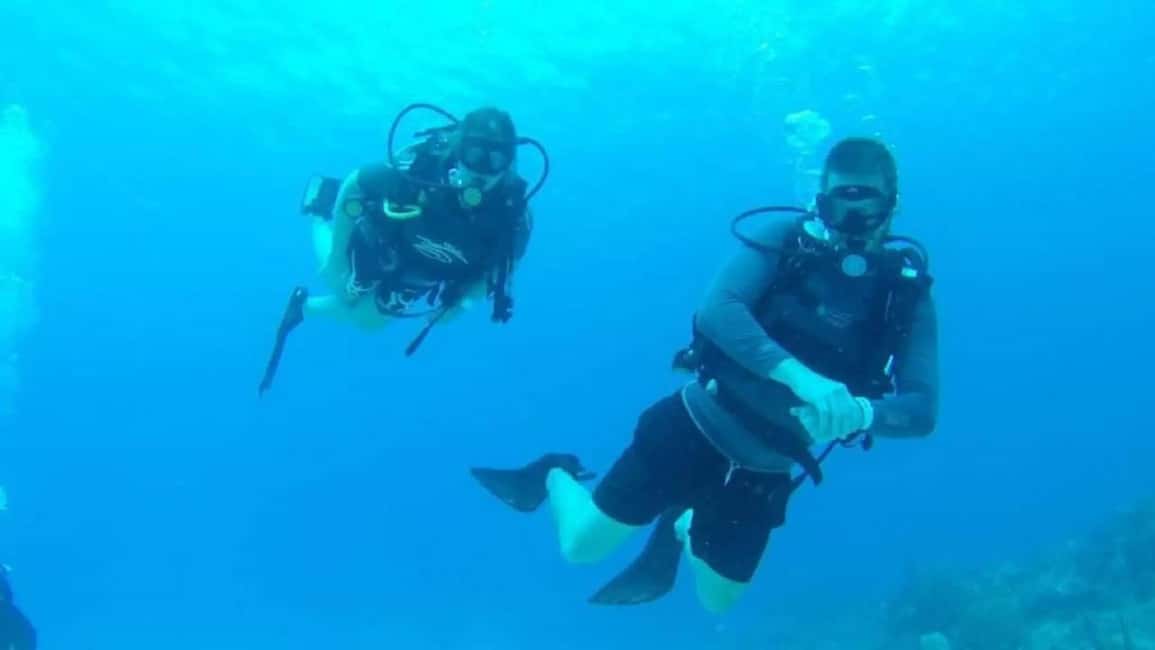 Punta Cana: Catalina Island Scuba Diving Day Trip - Who Is This Tour Perfect For?