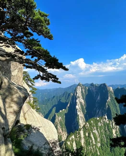 Xi'an: 6-Day Guided Tour with Meals and Transfers - Who Will Appreciate This Tour?