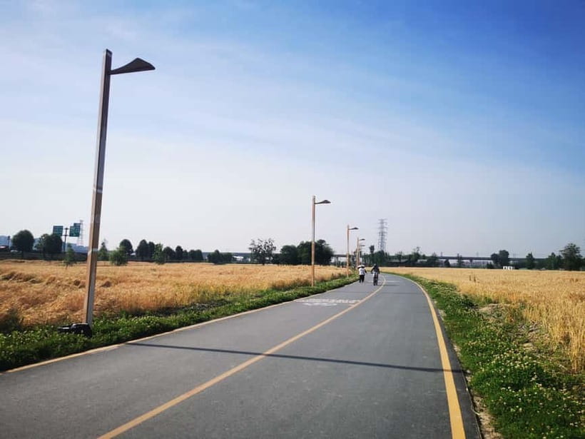 Chengdu: 100km Greenway Ring Road Cycling Challenge tour - In-Depth Review of the 100km Greenway Ring Road Cycling Challenge