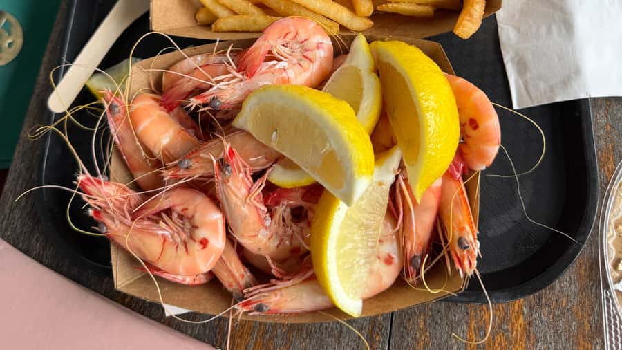 Airlie Beach: Beautiful Bowen Beaches and Seafood Day Trip. - Who Should Consider This Tour?