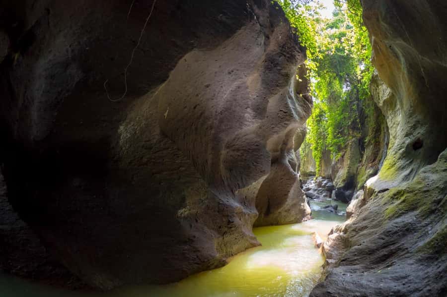 Ubud: Hidden Canyon Beji Guwang Guided Tour - Final Thoughts: Who Will Love This Tour?