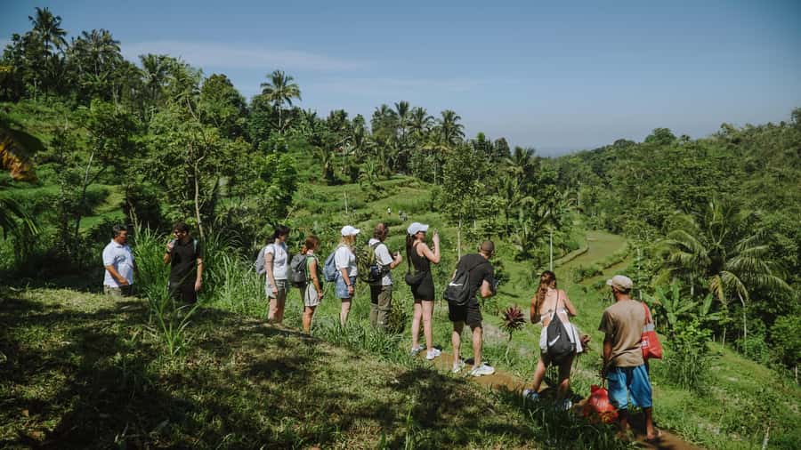 Lombok: Tetebatu Walk, Waterfall, Monkey Forest & Cooking - Who Is This Tour Perfect For?