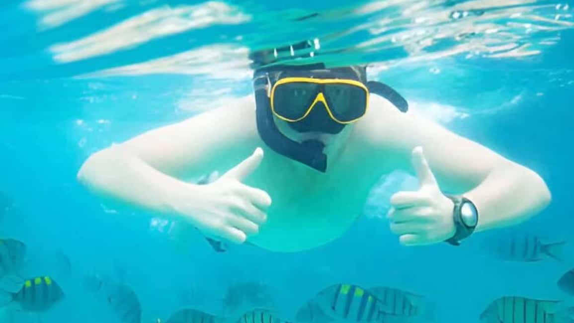 Puerto Plata: Sosúa Bay Snorkeling Tour with Guide - Detailed Breakdown of the Itinerary