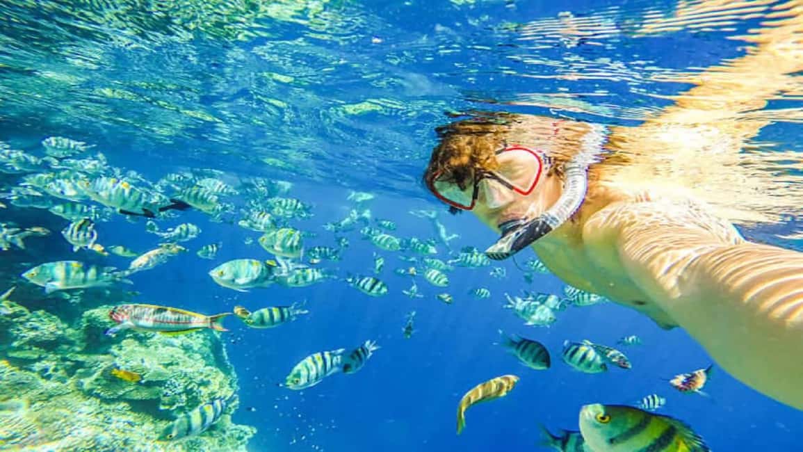 Puerto Plata: Sosúa Bay Snorkeling Tour with Guide - What Makes This Tour Special?