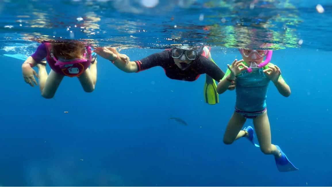 Punta Cana: Catalina Island Snorkeling Tour with Lunch - Overview: What Does the Tour Entail?