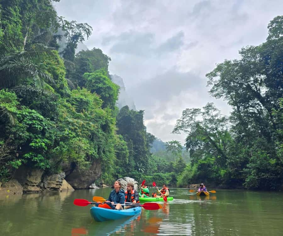 Khao Sok Park: Jungle Kayak Adventure & Wildlife Tour - Key Points