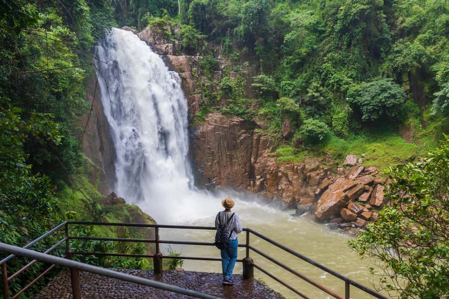 Bangkok: Khao Yai Waterfalls, Deer Spotting & Jungle Walks - What the Reviews Highlight