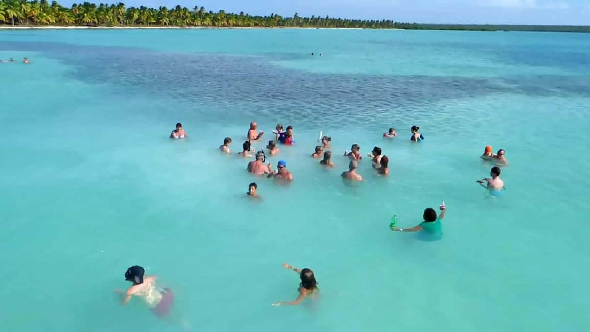Santo Domingo: Isla Saona Day Trip with Lunch & Catamaran - A detailed look at the tour experience