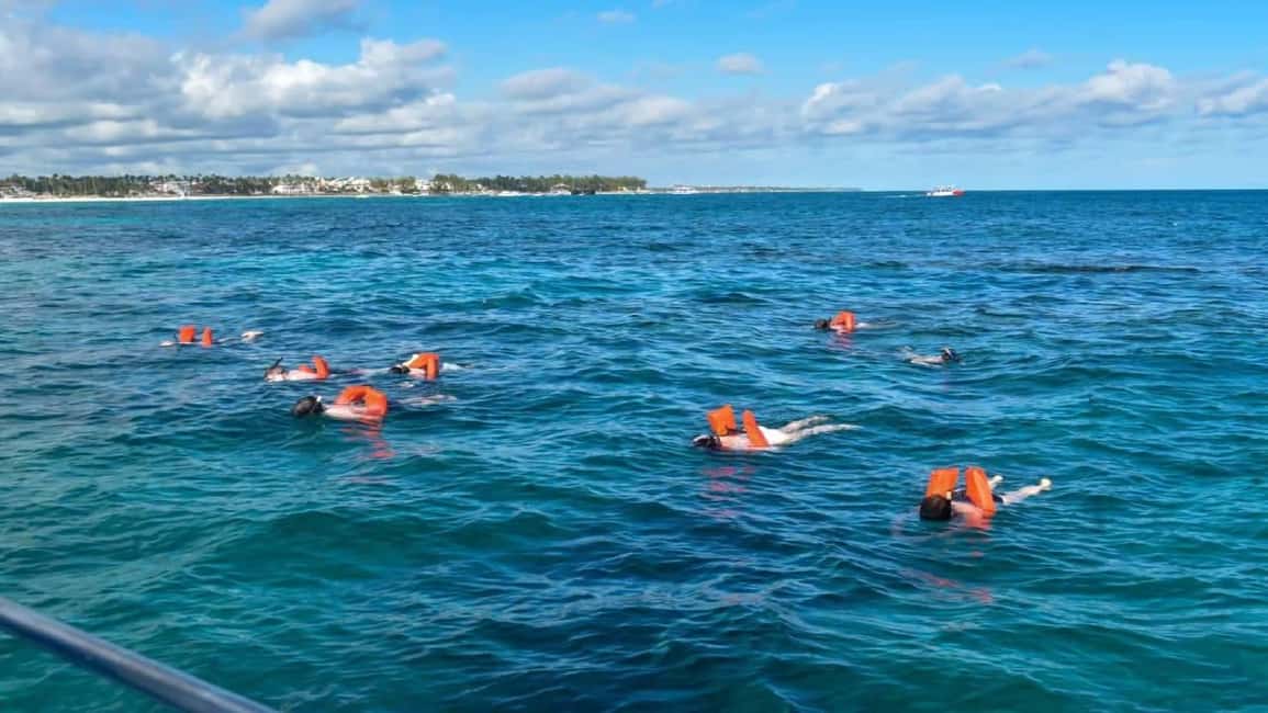 Santo Domingo: Isla Saona Day Trip with Lunch & Catamaran - Final thoughts