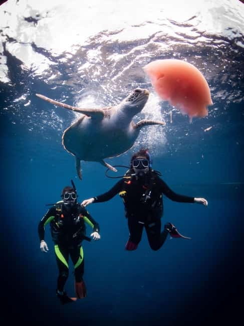 El Nido: Deep Blue Dive Seafari Experience - FAQ