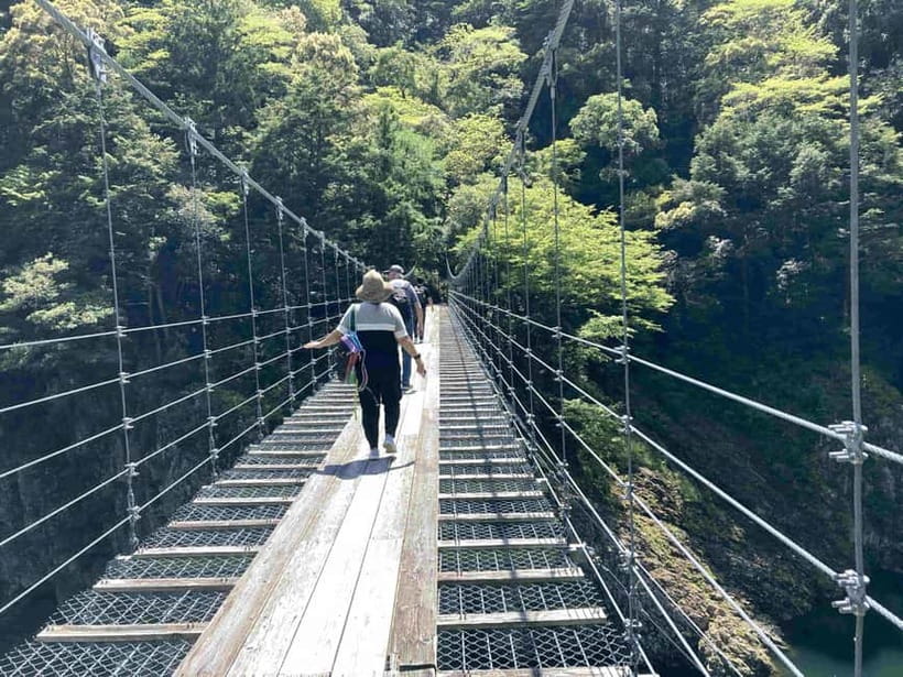 Kumano Kodo Pilgrimage Tour with Licensed Guide & Vehicle - An In-Depth Look at the Kumano Kodo Pilgrimage Tour
