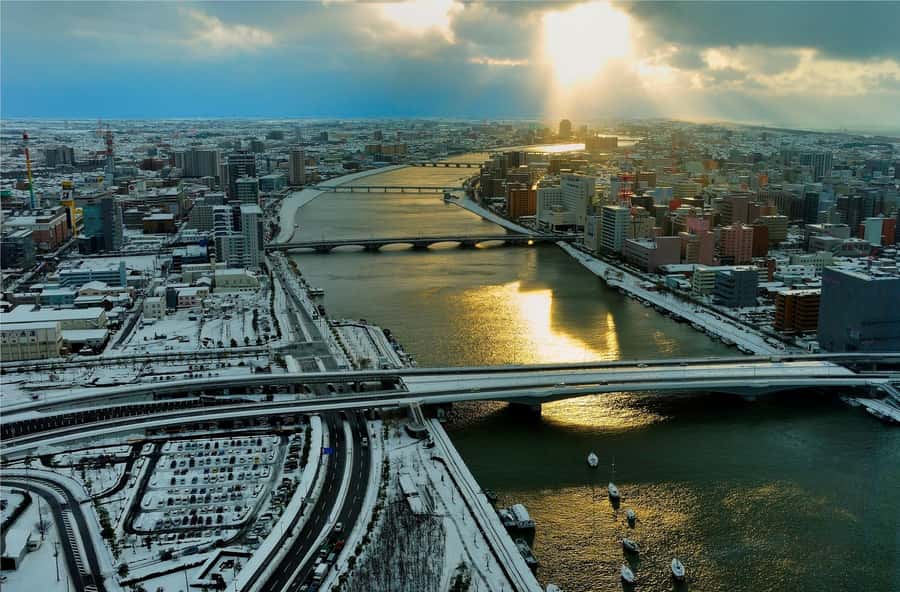 Niigata Full-Day Private Tour with Government-Licensed Guide - Key Points