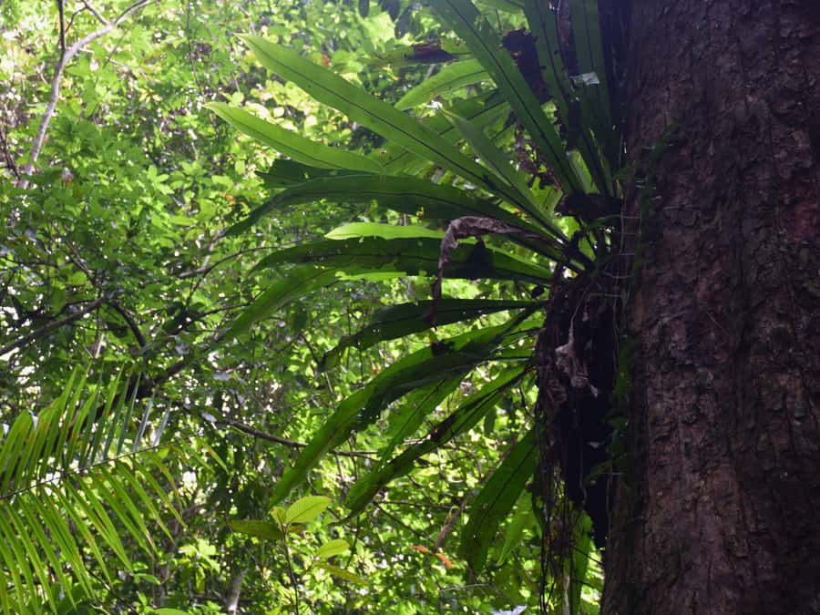 The Wilds: Khao Yai Trekking and Stargazing 2-Day Tour - Practical Details and Value