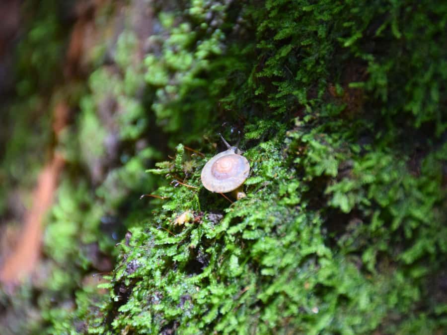 The Wilds: Khao Yai Trekking and Stargazing 2-Day Tour - Who Is This Tour Best For?