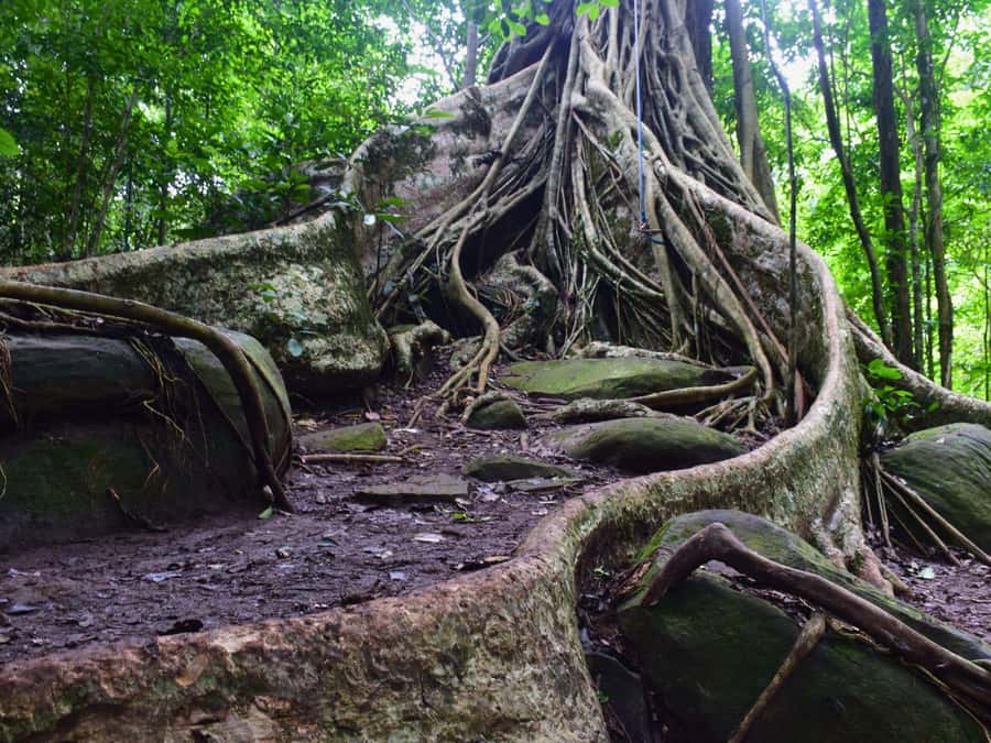 The Wilds: Khao Yai Trekking and Stargazing 2-Day Tour - Breaking Down the Day-by-Day Itinerary