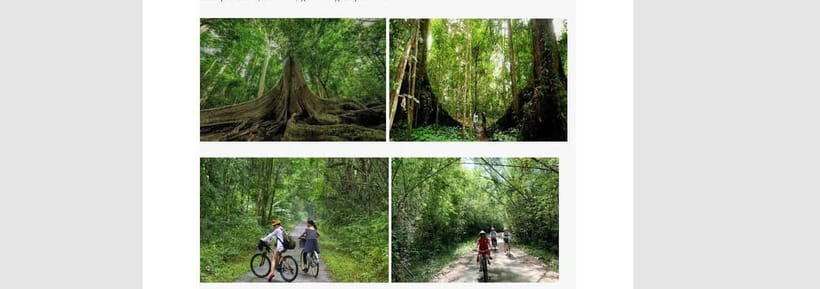 Ho Chi Minh: 2 Days Private Nam Cat Tien National Park - Who This Tour Suits Best