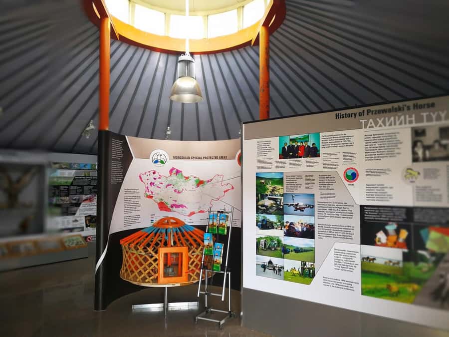 Gandan monastery and Hustai National park-all inclusive tour - A Practical Exploration of Mongolia’s Cultural and Natural Highlights