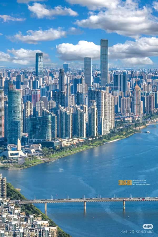 Changsha: Guided City Tour with Yuelu Mountain Hike - Who Will Enjoy This Tour?