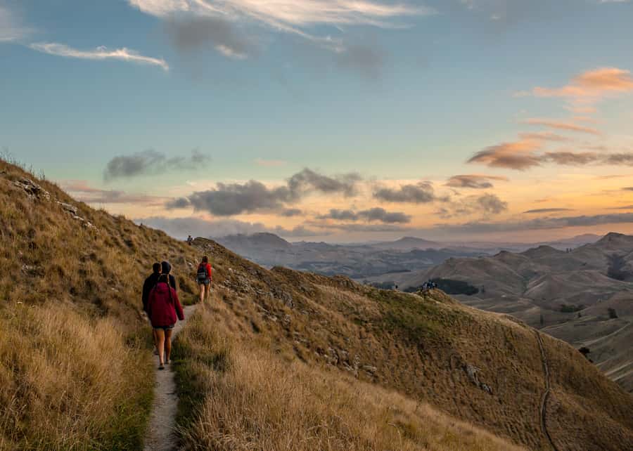 Craggy Range Deluxe, x2 winery tastings + Te Mata Peak - Who Is This Tour Best For?