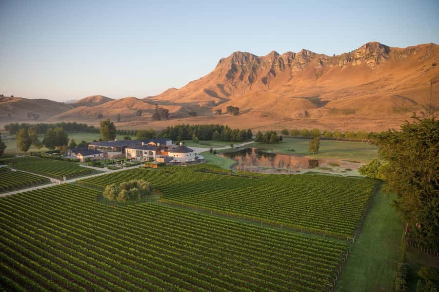 Craggy Range Deluxe, x2 winery tastings + Te Mata Peak - Authenticity and Value