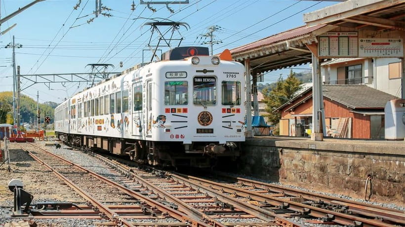 Osaka: Wakayama Cat Train, Seafood market, Hot Springs Tour - Relaxing at Shirahama Hot Springs