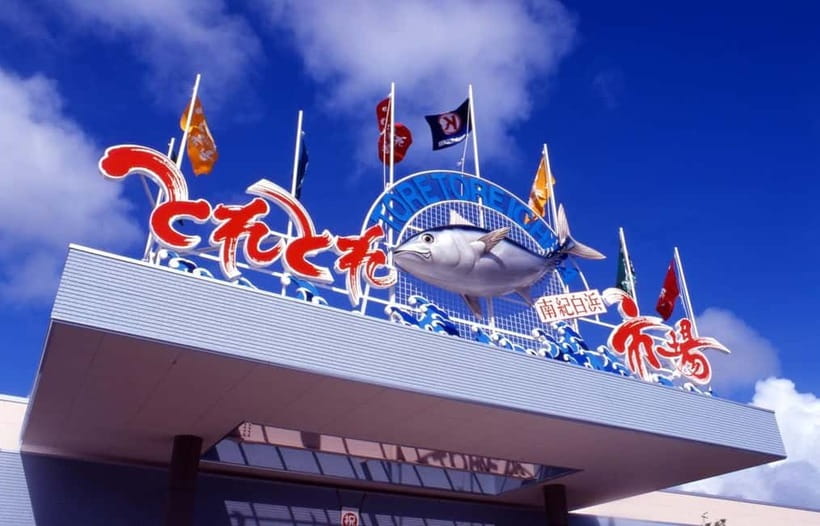 Osaka: Wakayama Cat Train, Seafood market, Hot Springs Tour - Coastal Cliffs and Sea Caves