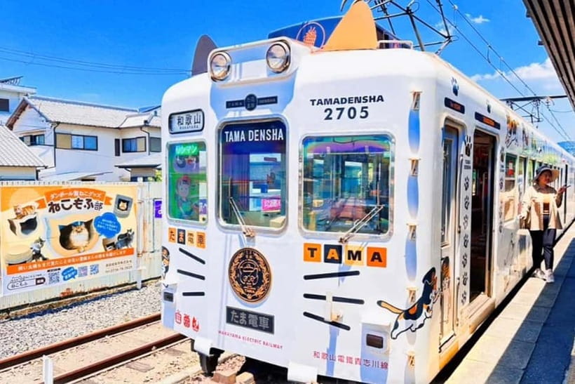 Osaka: Wakayama Cat Train, Seafood market, Hot Springs Tour - An Imaginative Journey from Osaka to Wakayama