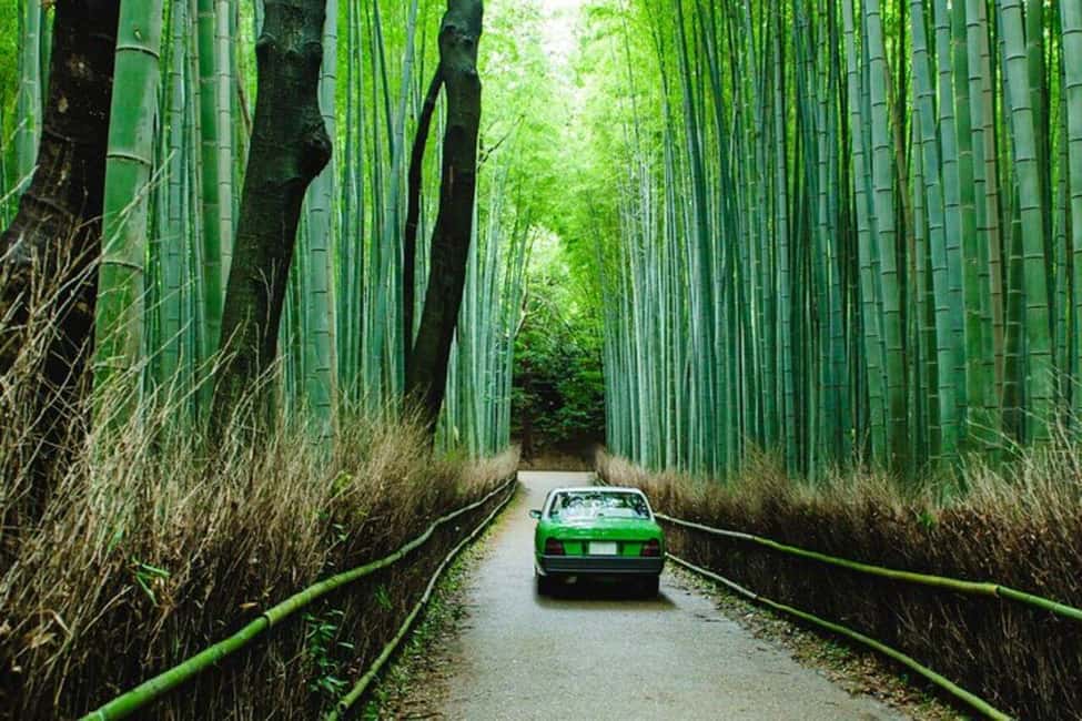 From Kobe/Osaka: Kyoto Full-Day Guided Tour with Vehicle - The Private Vehicle & Transportation