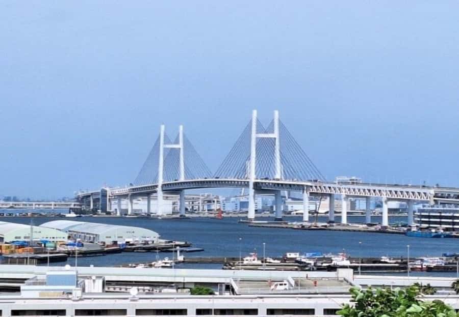 Yokohama: Yamate District & Port History Walking Tour - A Closer Look at the Yokohama Yamate District & Port History Tour