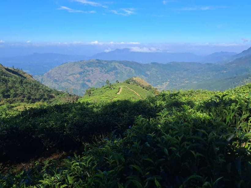 Belihuloya: Bakers Bend Hiking Trail Guided Tour - Exploring the Belihuloya Bakers Bend Hiking Trail Guided Tour