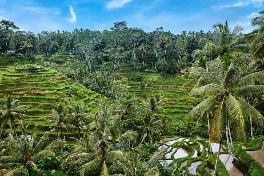 Fiery Bali Tour - Key Points