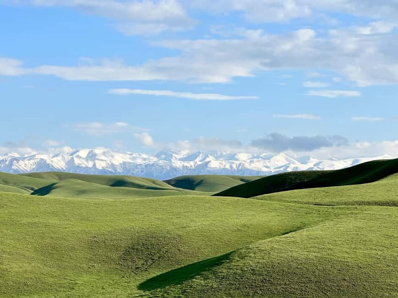 Tanbaly Gorge: Ancient Petroglyphs UNESCO Site Day Tour - The Unique Atmosphere and Less Crowded Experience