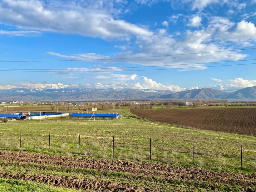 Tanbaly Gorge: Ancient Petroglyphs UNESCO Site Day Tour - Guides and Reviewer Insights