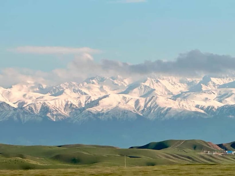 Tanbaly Gorge: Ancient Petroglyphs UNESCO Site Day Tour - Exploring the Central Canyon: The Heart of the Site
