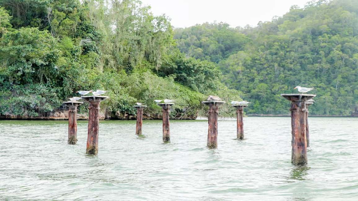 Mangroves, Mogotes and Mountains from Punta Cana - Who Will Enjoy This Tour?