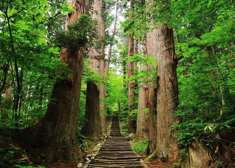 Tsuruoka & Dewa-Sanzan Private Tour with Licensed Guide - Frequently Asked Questions