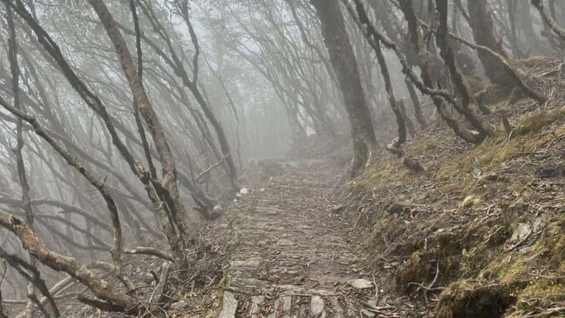 Kathmandu: 8-Day Pikey Hill Trek - The Trekking Experience: What You Should Know