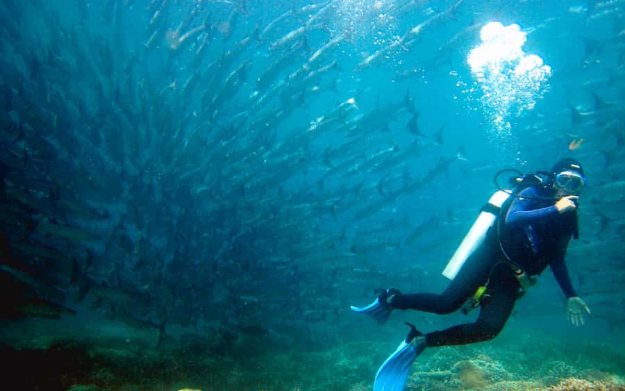 From Semporna: 3-Dive Leisure Underwater Diving Explorations - What Travelers Say