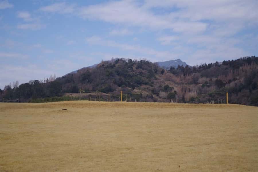 Fukuoka: Private Farm Experience with Lunch - FAQs