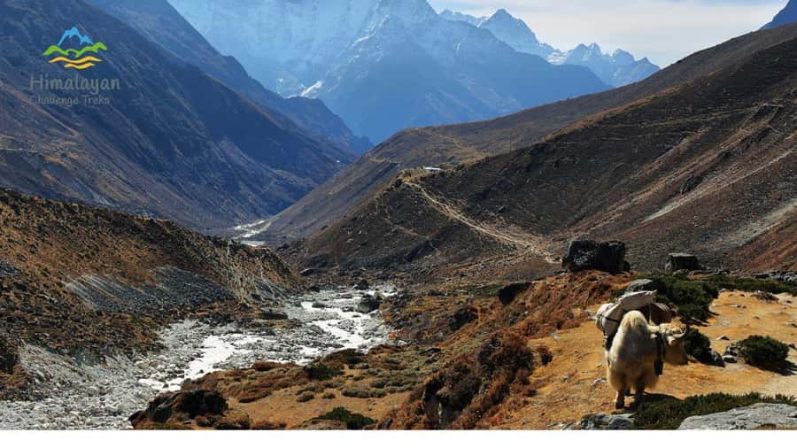 13-Day Langtang to Gosaikunda Lakes, Legends & High Trails - An In-Depth Look at the Trek: What You Can Expect