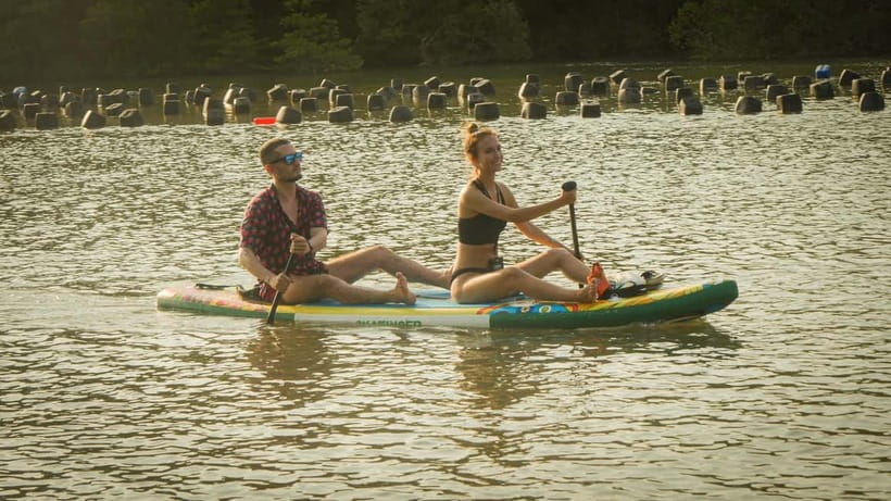 HCMC: Can Gio Mangrove Forest, Biosphere Museum & SUP Tour - Immersive Forest Exploration