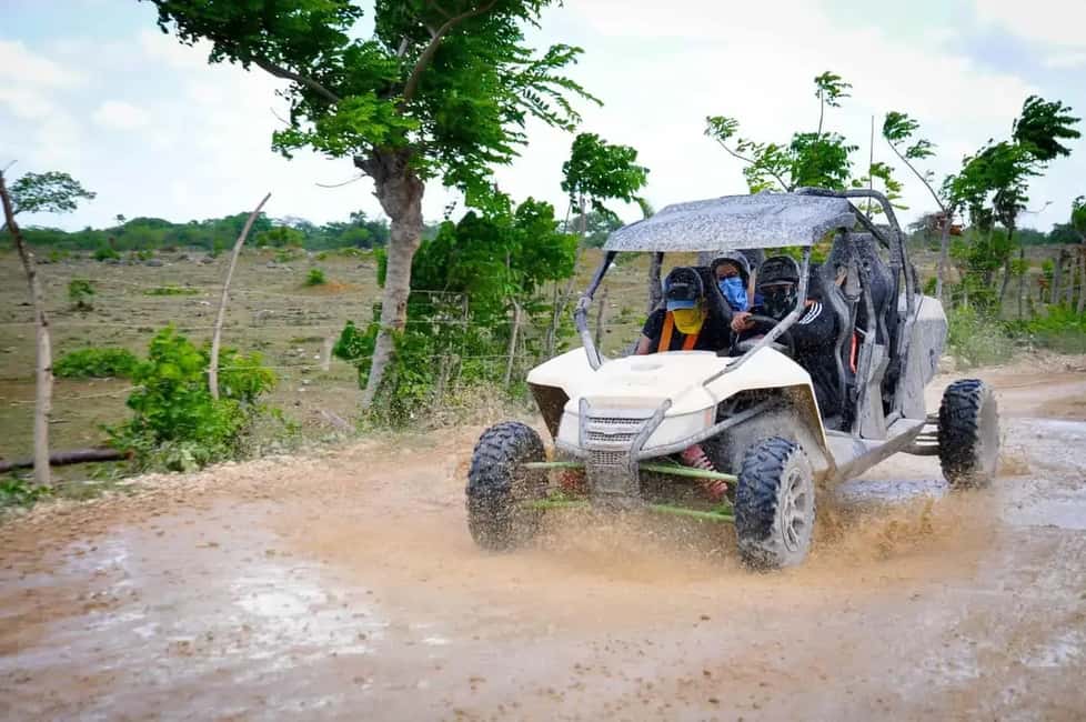 Punta Cana: Buggy Ride, Cenote Swim, & Macao Beach Tour - Key Points
